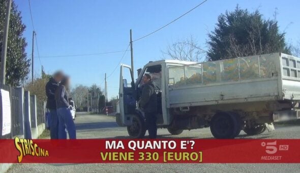 Truffe sulla legna da ardere: non preoccupatevi, arriva Quintals!